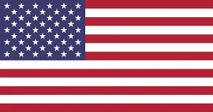 american flag-Nice