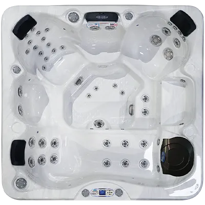 Avalon EC-849L hot tubs for sale in Nice