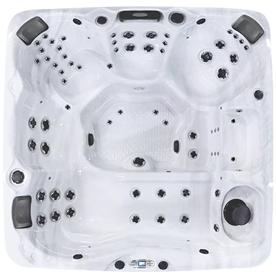 Avalon EC-867L hot tubs for sale in Nice